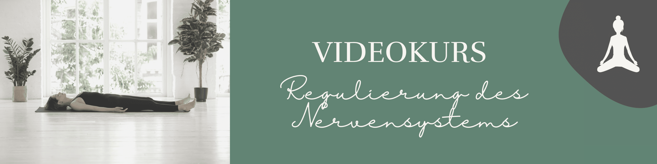Nervensystem-Videokurs