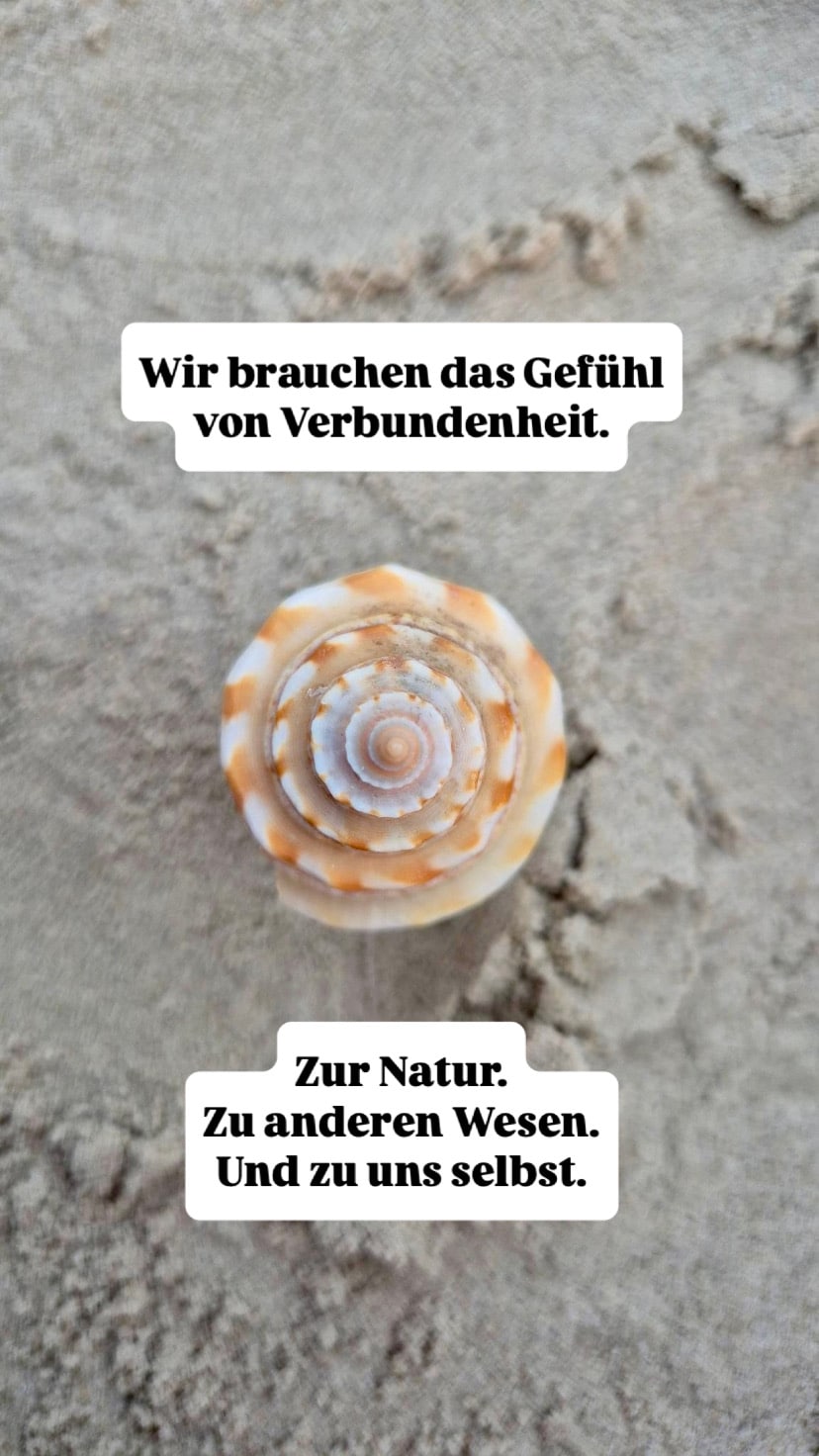 20250616_204131062_iOS